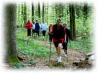 Warmup und Stretching der Nordic Walking Gruppe